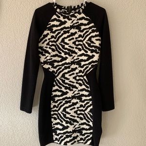 Sexy zebra stripped dress
